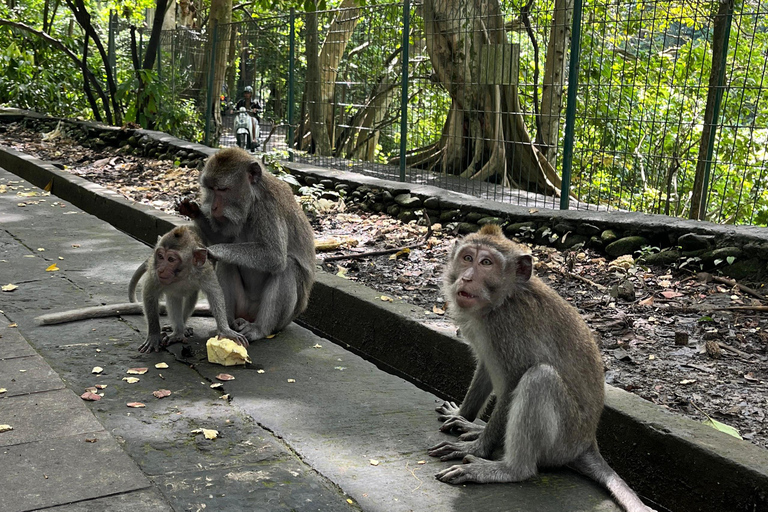 Bali: Batuan temple, Monkey Forest, Kato Lampo waterfall