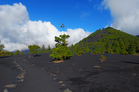 Nuevo Volcán linear route: an exterior and interior view of the volcanoes New Volcano linear route: an exterior and interior view of the volcanoes