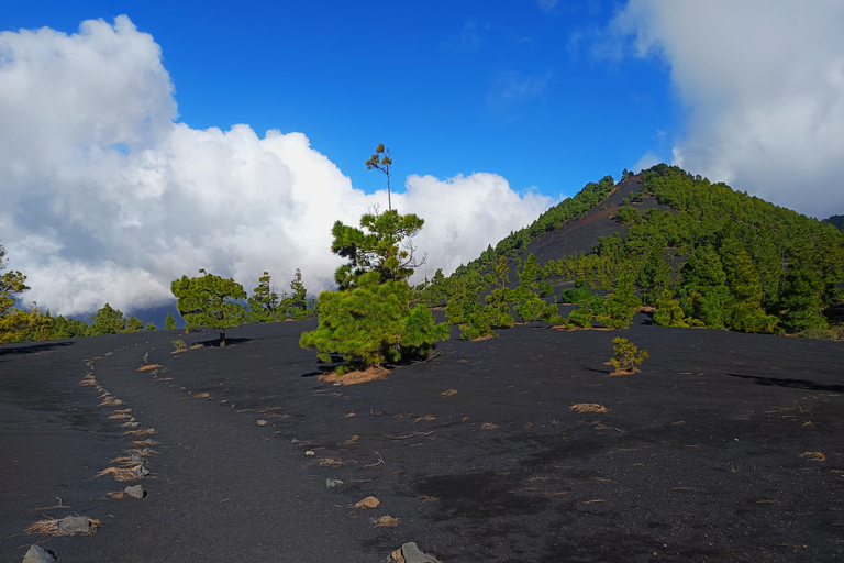 Nuevo Volcán linear route: an exterior and interior view of the volcanoes New Volcano linear route: an exterior and interior view of the volcanoes