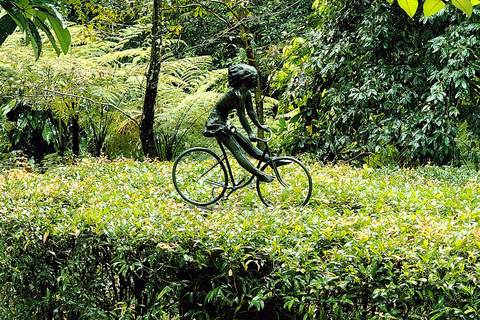 Singapore: Unravel Hidden Gems in a Private Customized Tour Private Customized Tour - 2 hours