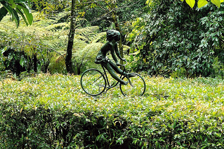 Singapore: Unravel Hidden Gems in a Private Customized Tour Private Customized Tour - 2 hours