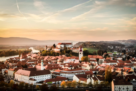 Ljubljana: Ptuj & Haloze Wine Cellar Tour with Tastings