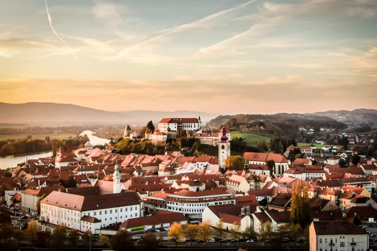 Ljubljana: Ptuj & Haloze Wine Cellar Tour with Tastings