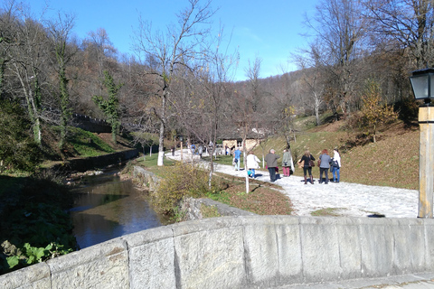 Sliven: Open Air Ethnographic Museum ETAR Entry Ticket Audio Guide and Ticket