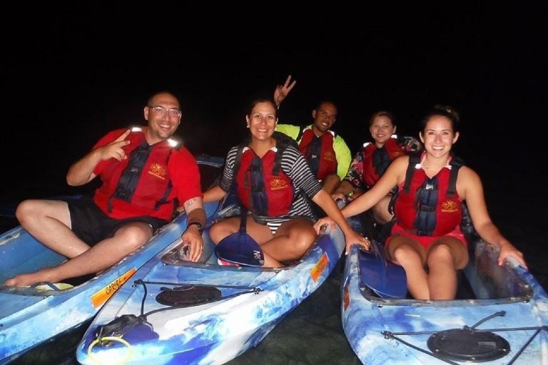 San Juan: Bioluminescencyjna przygoda kajakiem w zatoce nocąSan Juan: Kayak Bio Bay Adventure nocą