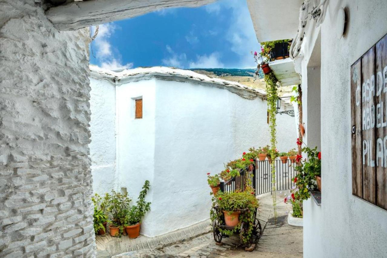 阿尔普哈拉斯一日游：阿尔安达卢斯的活历史阿尔普哈拉斯一日游：安达卢斯的活历史