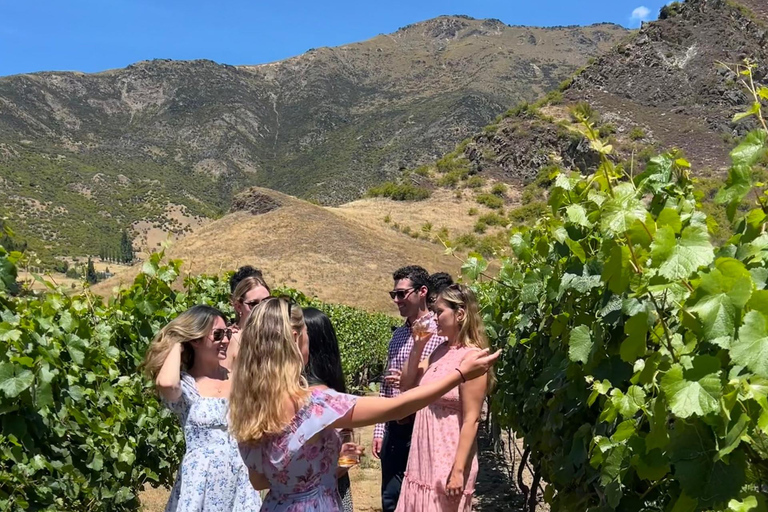 Queenstown: 2 Wine Regions & Wine Cave Tour - Local NZ Guide