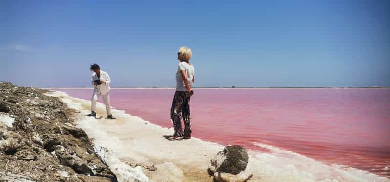 Galería de fotos para redes