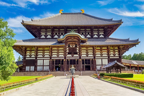 Cute Deer Tour: A One-Day Highlights Tour of Kyoto and Nara Departing from Kyoto