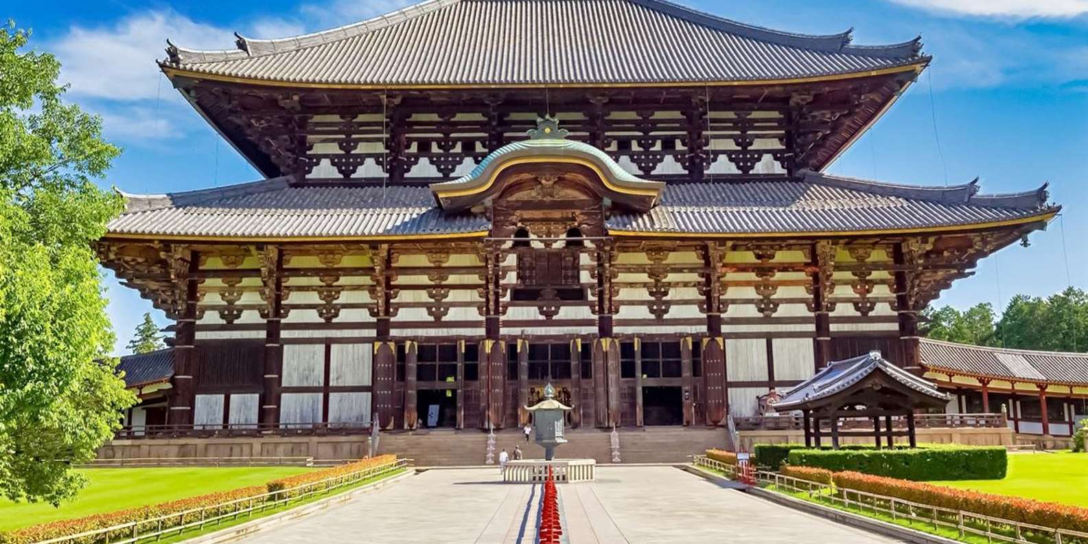 Kyoto experience — temples, geisha, bamboo grove — image 7