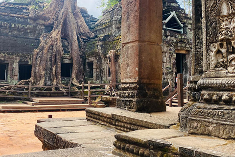 Siem Reap: Angkor Wat Sunrise Tour with Hotel Pickup