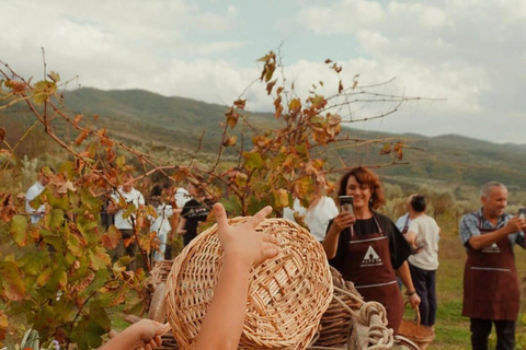 Vlore: Berat Day Trip with Wine Tasting Experience Vlore: Private Berat Day Trip with Wine Tasting Experience