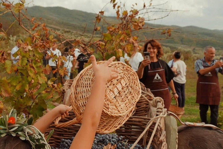 Vlore: Berat Day Trip with Wine Tasting Experience Vlore: Private Berat Day Trip with Wine Tasting Experience