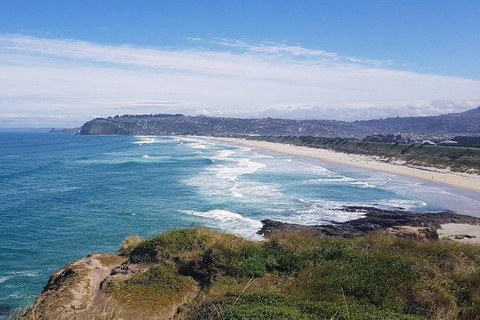 Dunedin City & Otago Peninsula Scenery Day Tour Private Tour