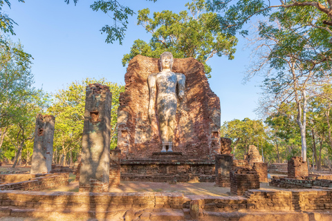 Sigiriya Sunrise, Polonnaruwa & Minneriya Safari Private Day