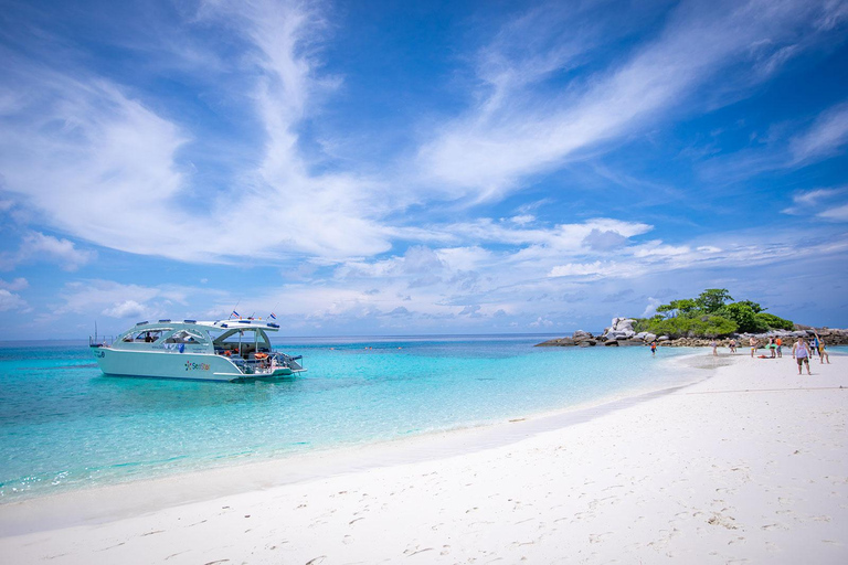 Phuket Dolfijn Zoektocht: Expeditie naar Racha &amp; Maiton eiland