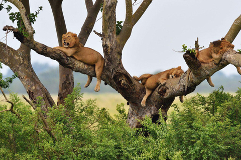 3-Day Fort Portal & Queen Elizabeth National Park Safari