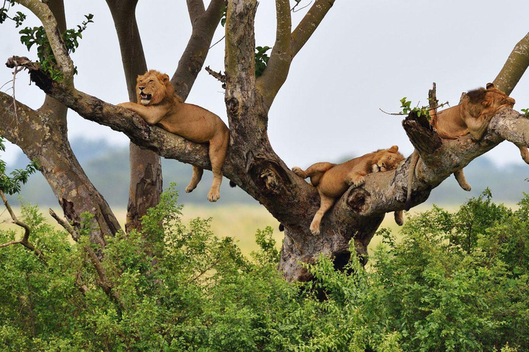 3-Day Fort Portal & Queen Elizabeth National Park Safari