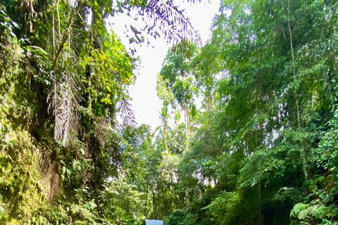 Viagem guiada ao terraço de arroz, cachoeira e templo de Ubud, Bali