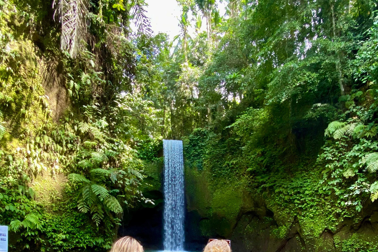 Ubud rice terrace, waterfall, and temple guided trip Bali