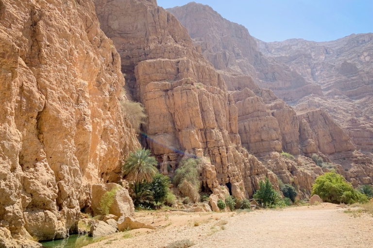 Excursión privada a Wadi Shab + sumidero