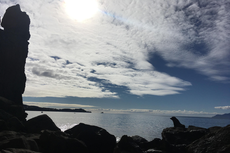 Outdoor Rock Climbing Auckland (Ti Point) - full day