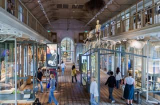 Amsterdam: ARTIS-Groote Museum Entry Ticket