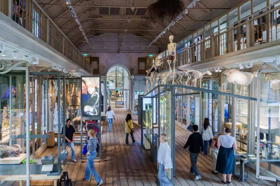 Amsterdam: ARTIS-Groote Museum Entry Ticket. Foto: GetYourGuide