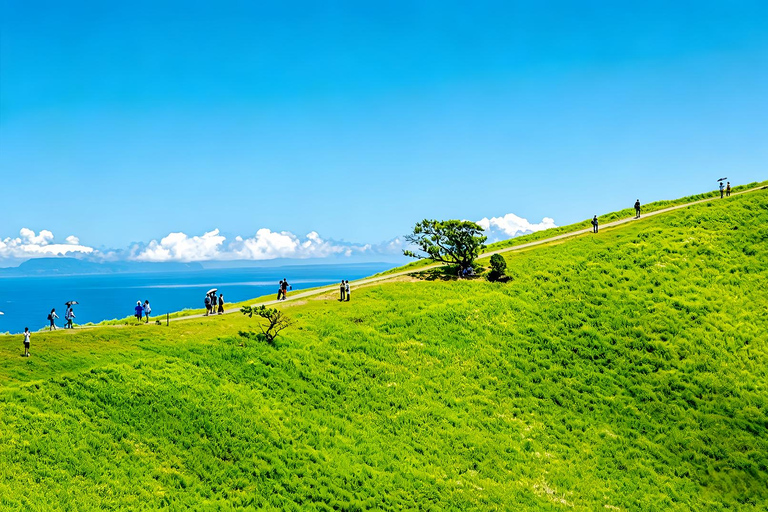 Small Group Day Tour:Omuro Mountain & the Izu Scenic Railway Hotel Transfer Option