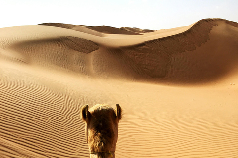 Wadi Bani Khalid, Mukhal Cave, & Desert Tour