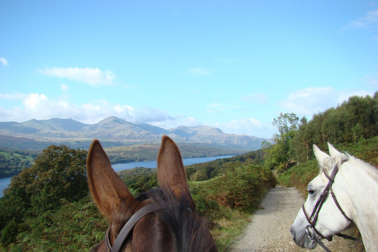 Azores: Sete Cidades Mountain Horseback Ride