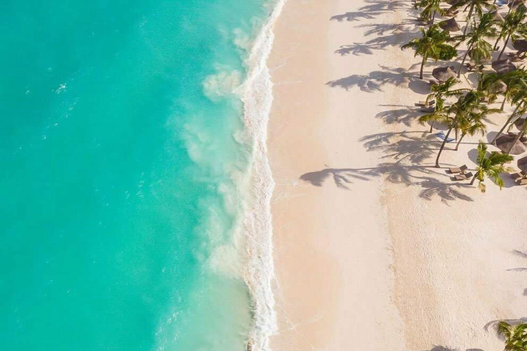 Zanzibar: Upptäck skönheten i ridning på hästryggen