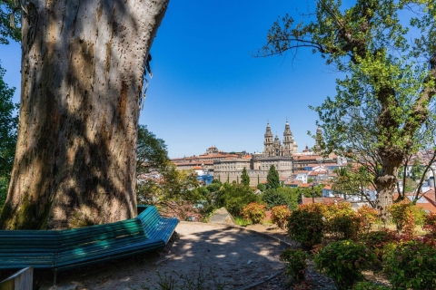 Wycieczka piesza po historycznych zakątkach Santiago de Compostela