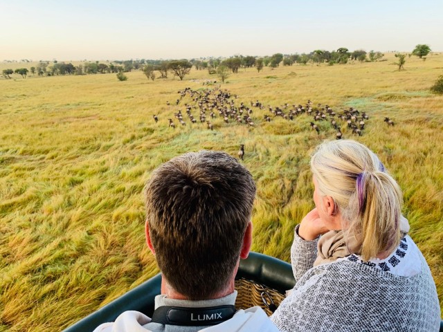 Visit Serengeti & Tarangire Exclusive Balloon Safari in Serengeti National Park