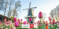 阿姆斯特丹，Keukenhof和Zaanse Schans Windmills Day Trip - Housity