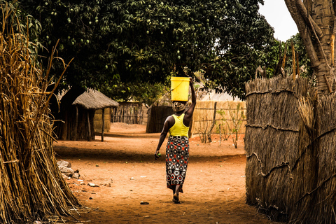 livingstone: Traditional African Dance and Lunch Tour