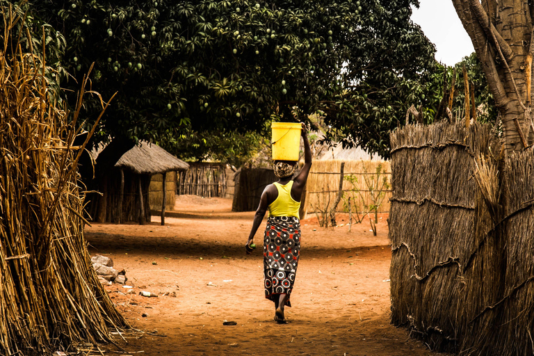 livingstone: Traditional African Dance and Lunch Tour
