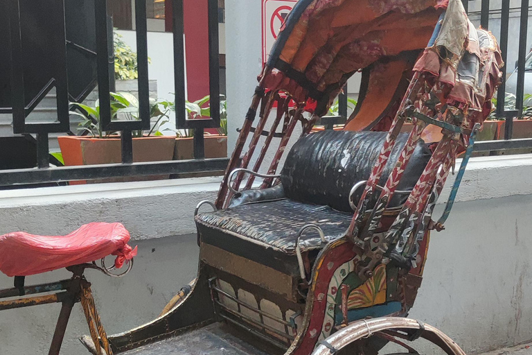 Katmandou : visite de Thamel en pousse-pousse et de la place Durbar