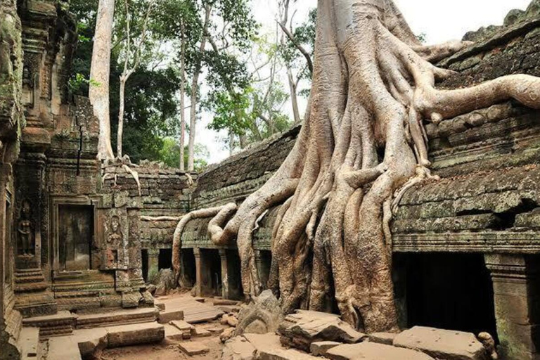 Angkor Wat & Must-See Temples Private Tour by Tuk Tuk Add Sunrise Tour Option