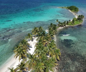 Placencia : Plongée en apnée et découverte de l'île à Laughing Bird Caye