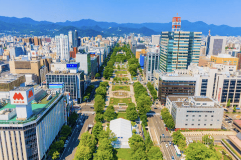 Sapporo: Tour guidato della città con una guida locale