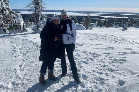 Ruka: Parco Nazionale di Riisitunturi con pranzo.