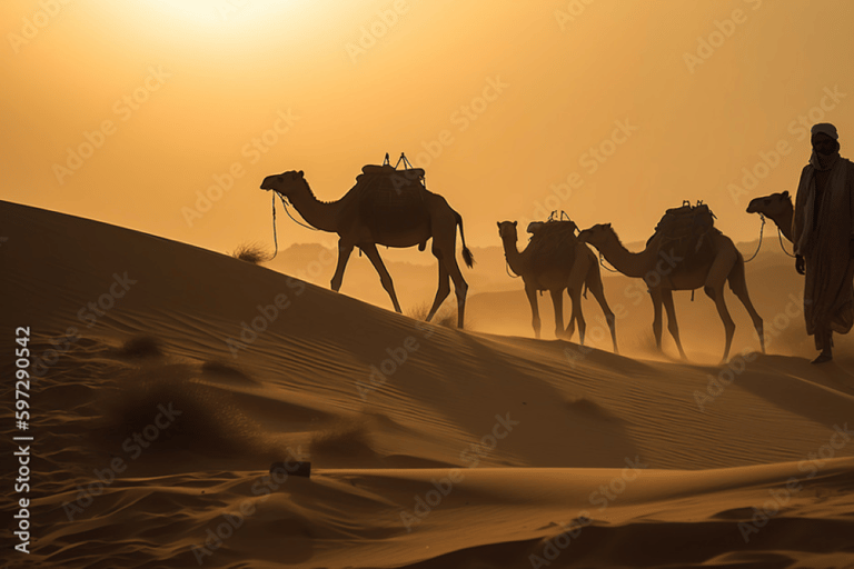 From Delhi: Luxury Royal Rajasthan Cities Tour Tour With professional Tour Guide only.