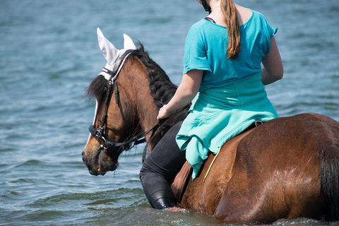 Zanzibar: Swimming with Horses and Ride in Ocean