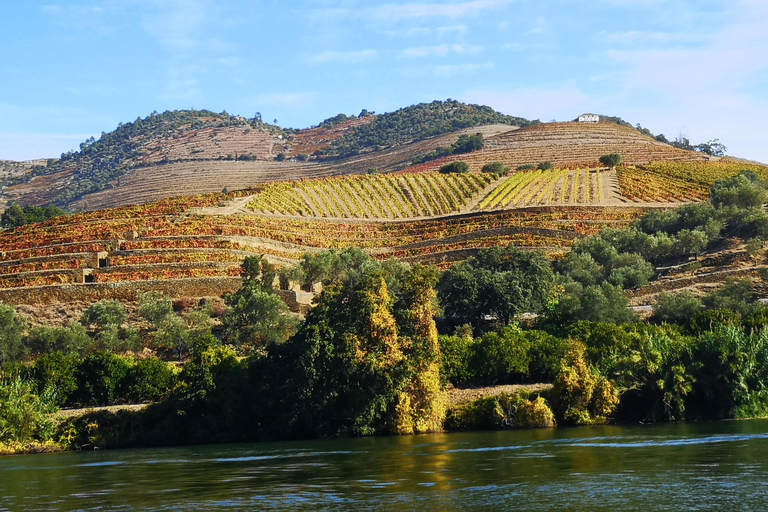 Do Porto: 2 regiões vinícolas, barco particular e almoço do chef