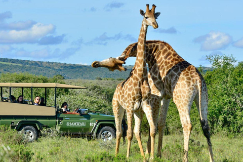 Phezulu Safari Park & Mandela Capture Site Half Day Tour