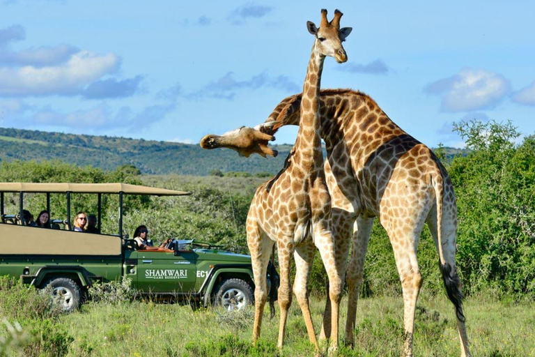 Phezulu Safari Park & Mandela Capture Site Half Day Tour