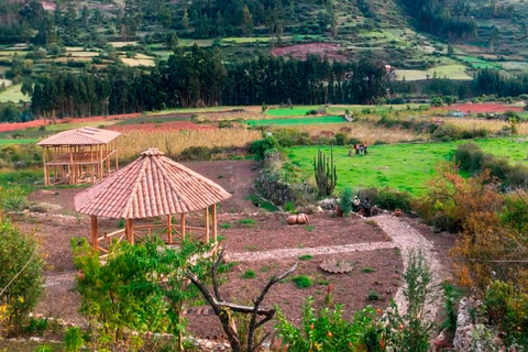 Birdwatching in Cusco || Tour Hummingbirds Observatory ||Cusco Birdwatching | Sacred Garden Hummingbirds Observatory