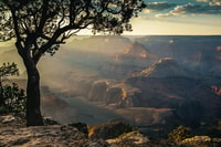 De Las Vegas, Tour de la journée du Grand Canyon South Rim - Housity