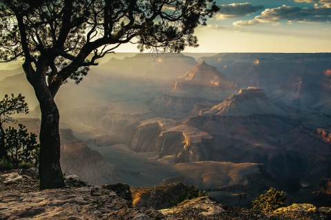 From Las Vegas: Grand Canyon South Rim Full-Day Tour Shared Tour
